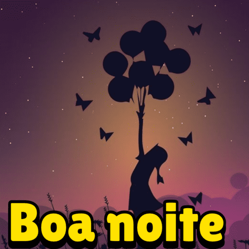 Boa noite  13
