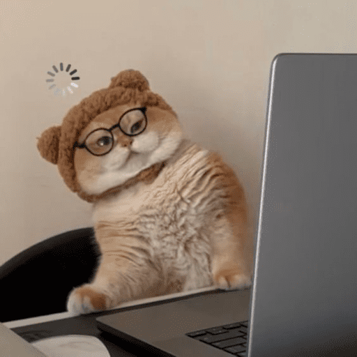 Cat love 3