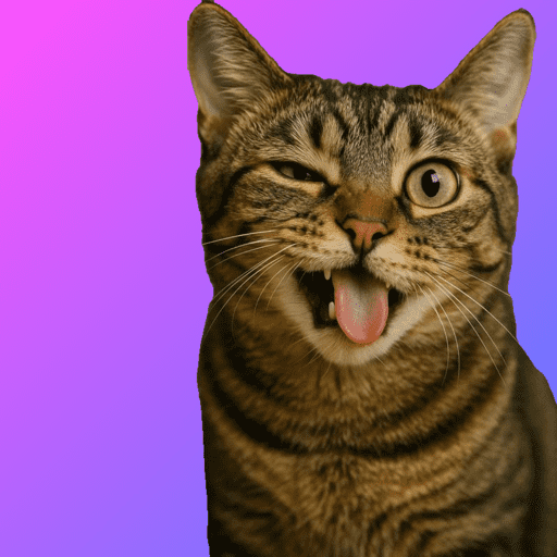 Cat love 9