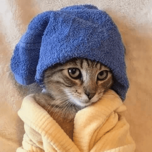 Cat love 12
