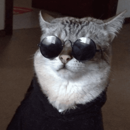 Cat love 15