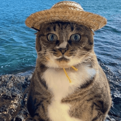 Cat love 14