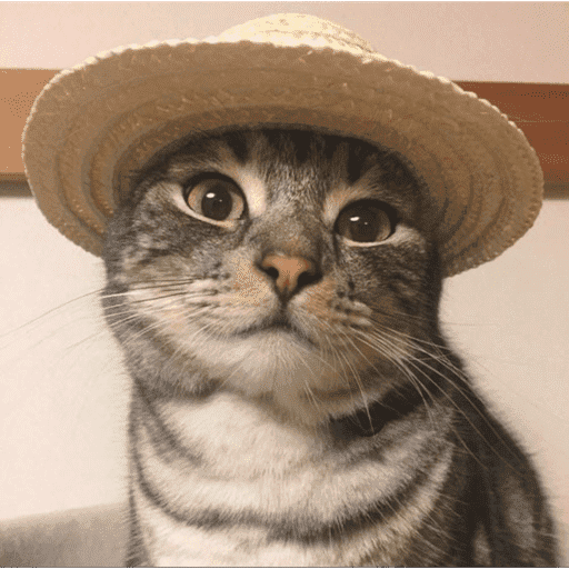 Cat love 13