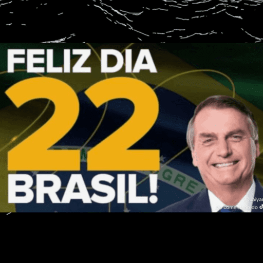 Bolsonaro Preso  13