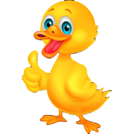 Pato boladinho 10