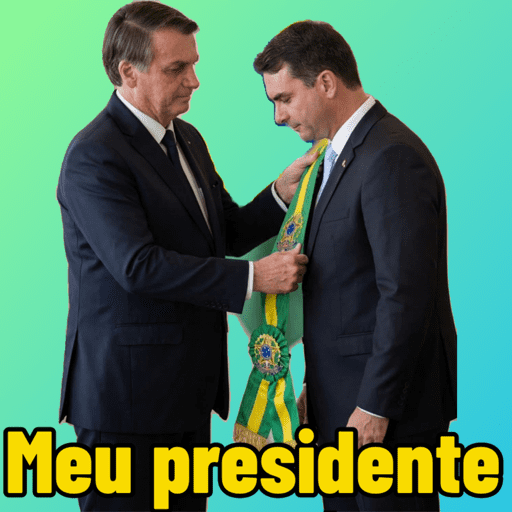 Bolsonaro meme 4