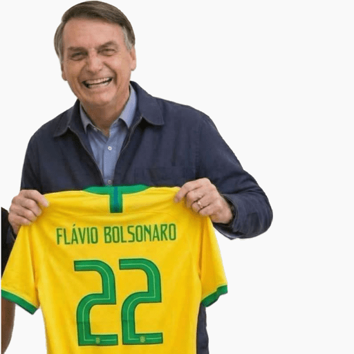 Bolsonaro meme 3