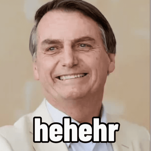 Bolsonaro meme 10