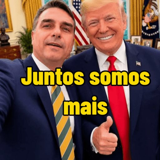 Bolsonaro meme 2