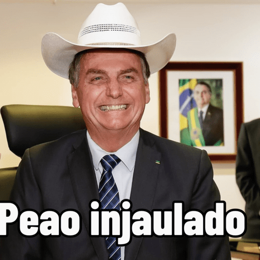 Bolsonaro meme 8