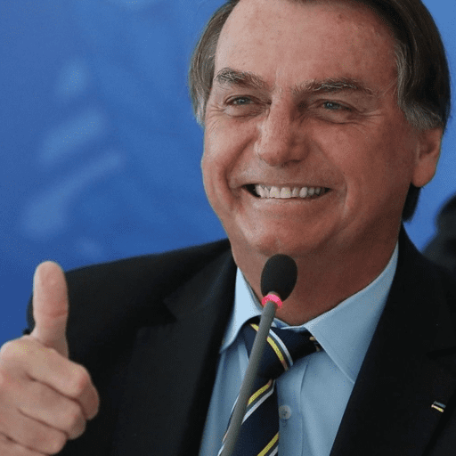 Bolsonaro meme 12