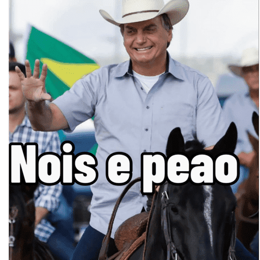 Bolsonaro meme 9