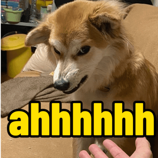 Dog shitpost 12