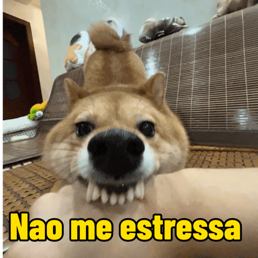 Dog shitpost 13