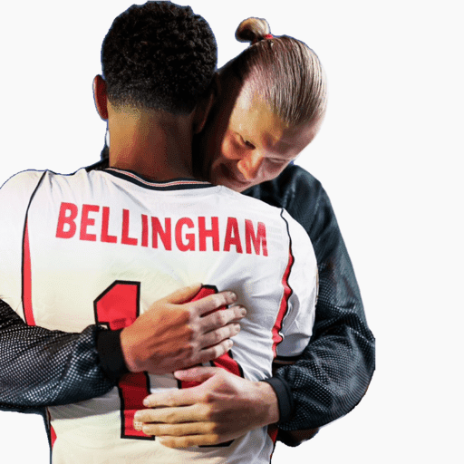 Bellingham 4