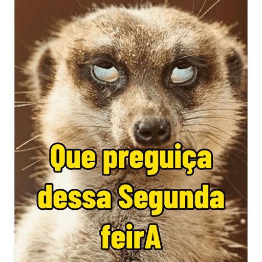 Segunda-feira  7