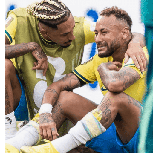 Brasil Eliminado 