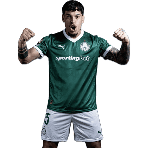 Palmeiras  16