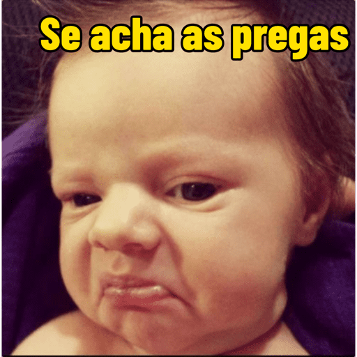 Bebês reações  7