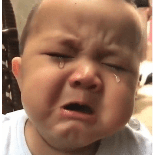 Bebês reações  15