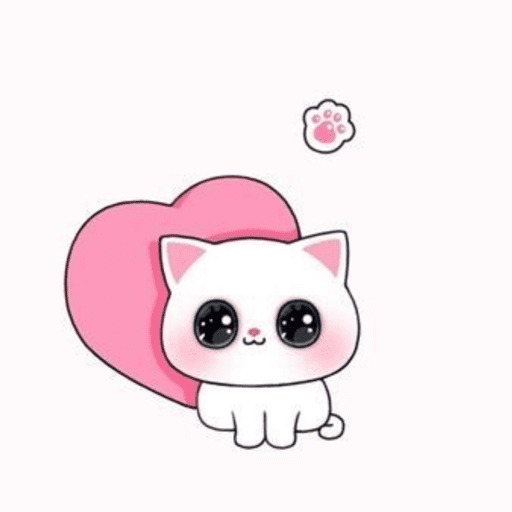 Amo gatos  5