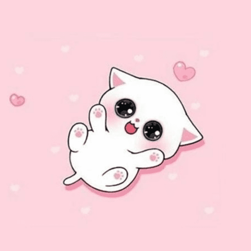 Amo gatos  6