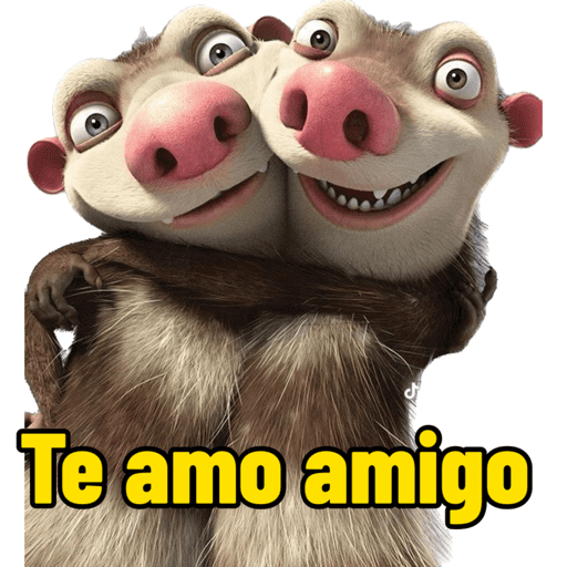 Amigo | amizade 13