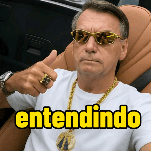 Bolsonaro memes 11