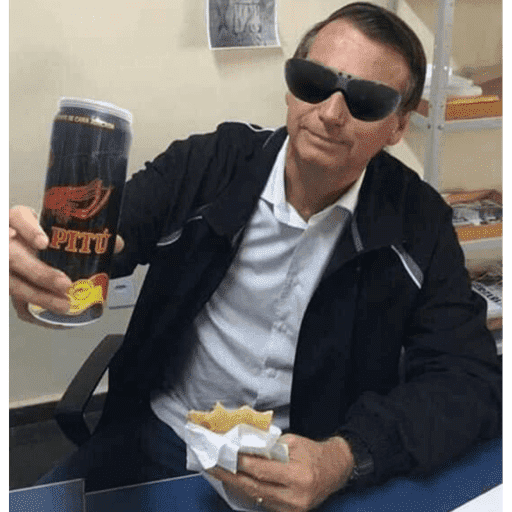 Bolsonaro memes 10