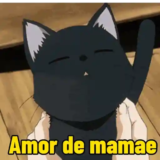 Gato animado 2