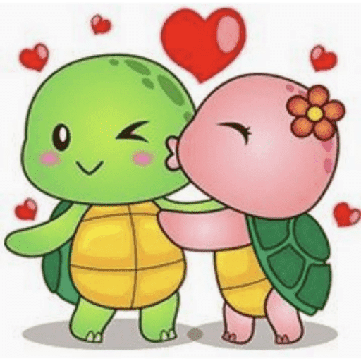Amor  12