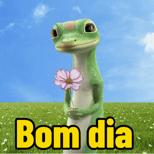 Bom dia /Tarde / noite