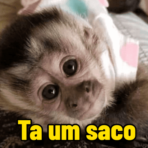 Macaco 🤭🍃 12