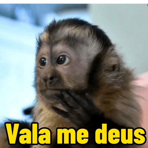 Macaco 🤭🍃 13