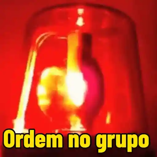 Memes  7