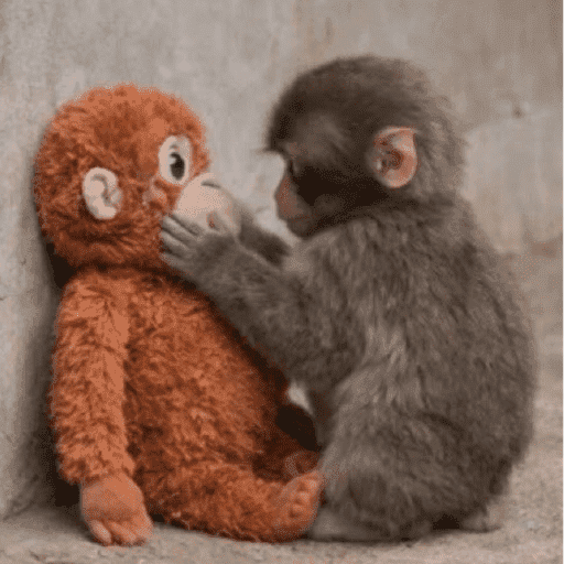 Macaco punchi-kun 7
