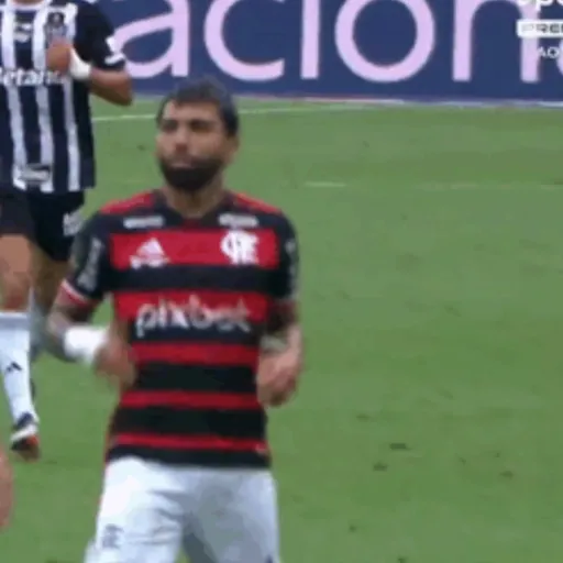 Flamengo  15