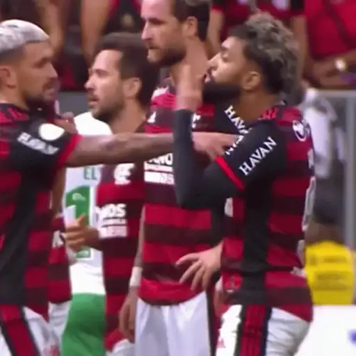 Flamengo  14