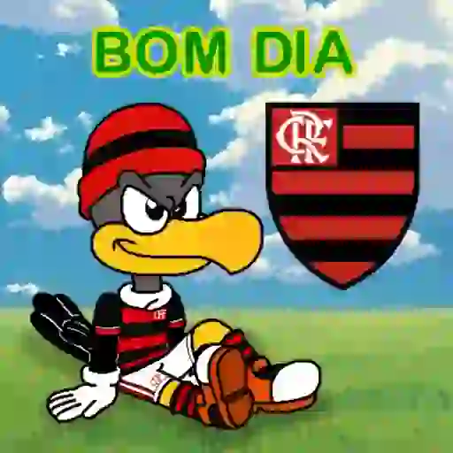 Flamengo  5