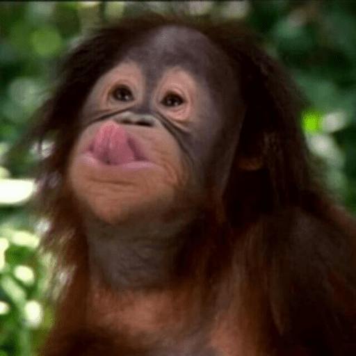 Macaco 7