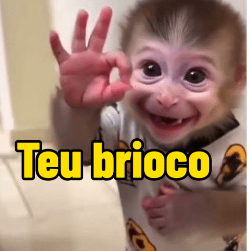 Macacos Memes  8
