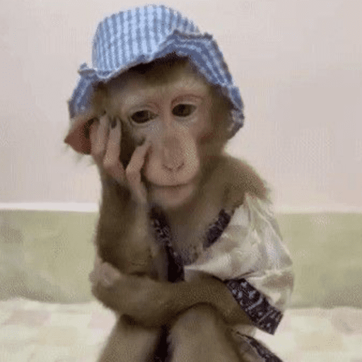 Macacos Memes  6