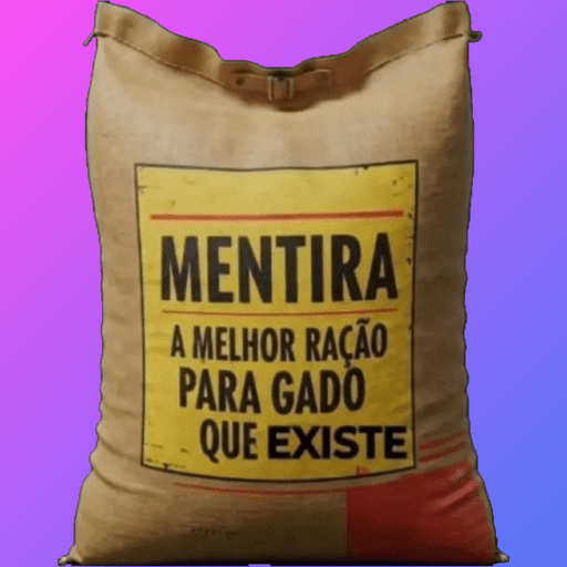 FLAVIO BOLSONARO MEME 10