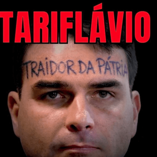 FLAVIO BOLSONARO MEME 4