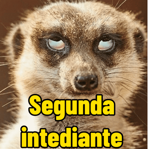 Segunda Feira  6