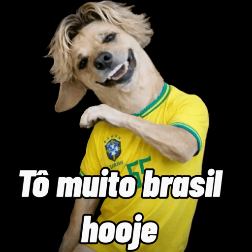 Brasil copa meme 10