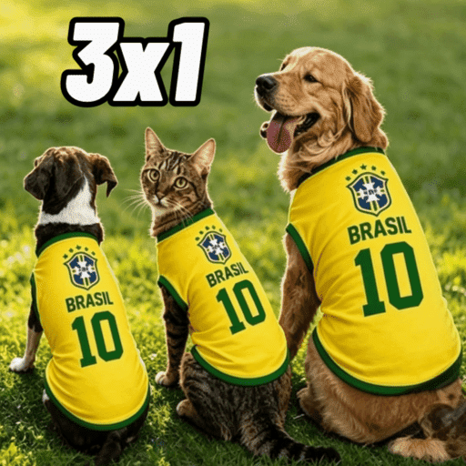 Brasil copa meme 11