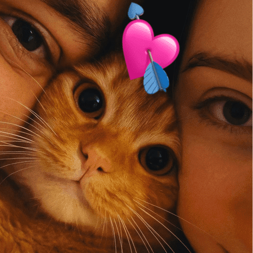 Amor casal romântico  2