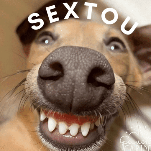 Sexta feira / Sextou 6