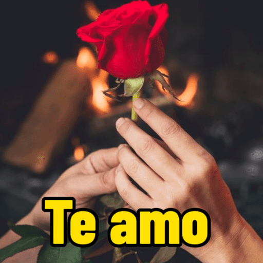 Amor / Casal  3